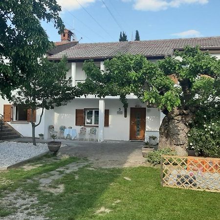 Country House Gazon Pensionat Šmarje Exteriör bild